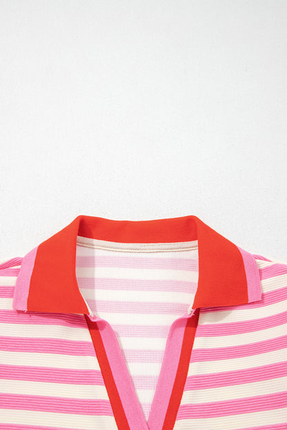 Rose Stripe Contrast Trim Polo Collar Ruffled Short Sleeve Blouse